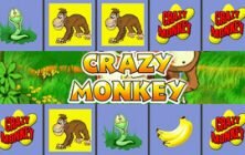 Crazy Monkey slot