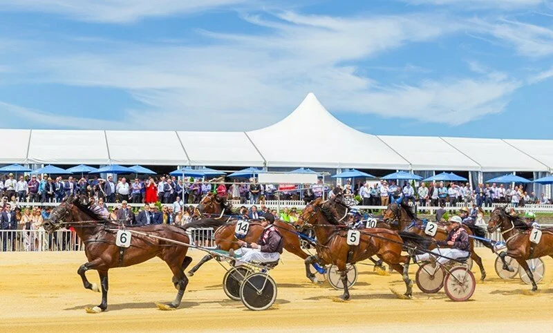 Riccarton Park New Zealand