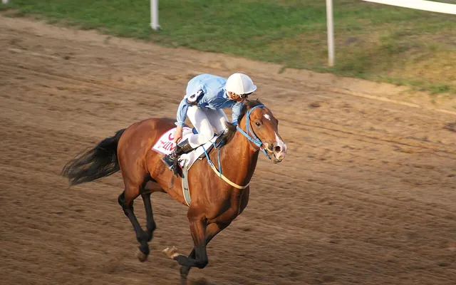 Horse racing